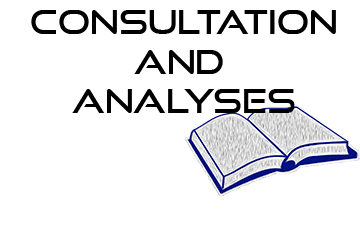 Drafting public procurement documents for tender “Development and implementation of a pilot system for remote electronic voting” 