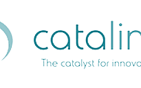 CATALINK LIMITED