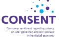 Consumer Sentiment Regarding Privacy on User Generated Content (UGC) Services in the Digital Economy (CONSENT)