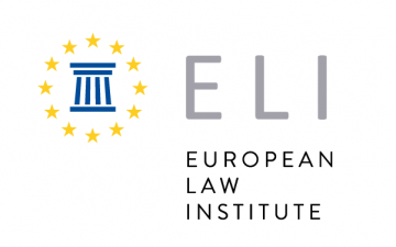 The Chairperson of Law and Internet Foundation's  - a member of the European Law Institute