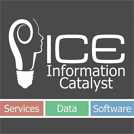 I-CATALIST SL Information Catalyst